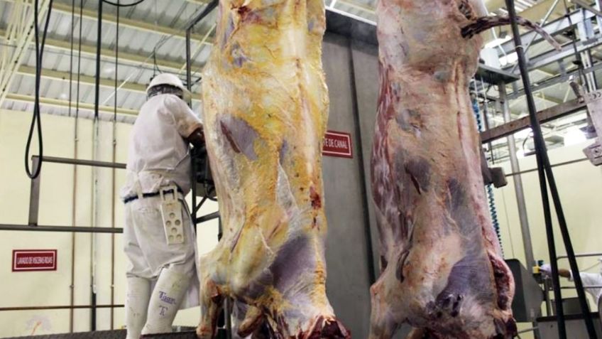 Sacrificio de animales en el Rastro de Cajeme cae en un 45%; hay pérdidas millonarias 