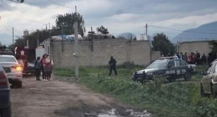 Por hambre, jauría de perros se disputaban cabeza humana en un terreno baldío