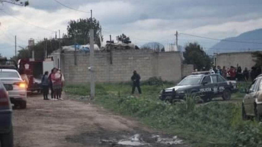 Por hambre, jauría de perros se disputaban cabeza humana en un terreno baldío