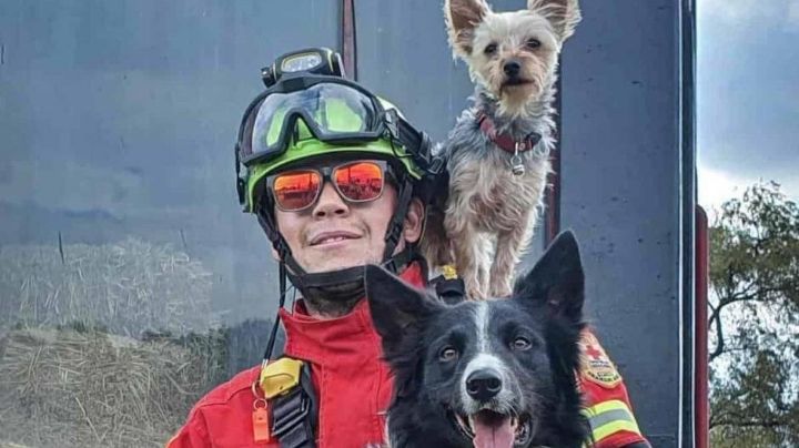 Justicia para Tango y Athos: Capturan a sujeto que mató a perros rescatistas; los envenenó