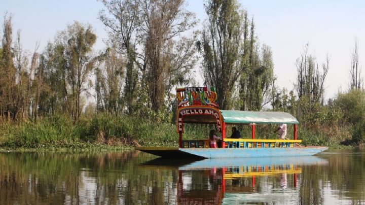 A sangre fría: Grupo armado mata a balazos a 3 hombres; abandonan cadáveres en un vehículo