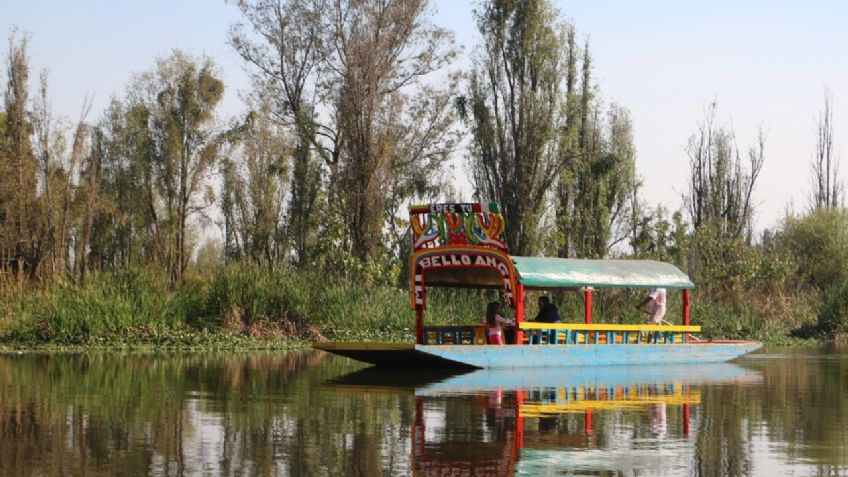A sangre fría: Grupo armado mata a balazos a 3 hombres; abandonan cadáveres en un vehículo