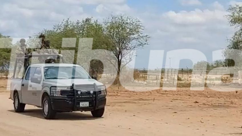 Guaymas: Localizan cuerpo semienterrado en el ejido Francisco Márquez