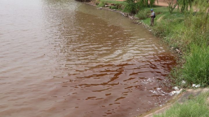 Laguna del Náinari: Se tiñe de rojo la 'Novia de Cajeme', se filtra  alga en sus aguas