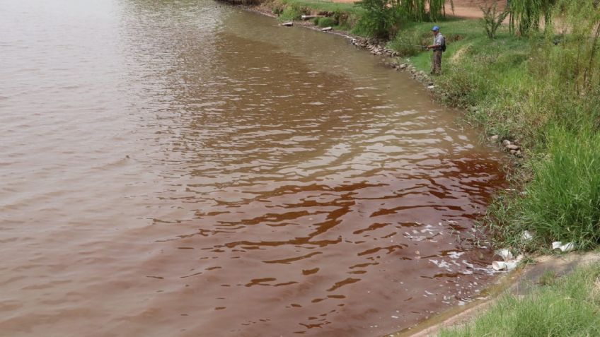 Laguna del Náinari: Se tiñe de rojo la 'Novia de Cajeme', se filtra  alga en sus aguas