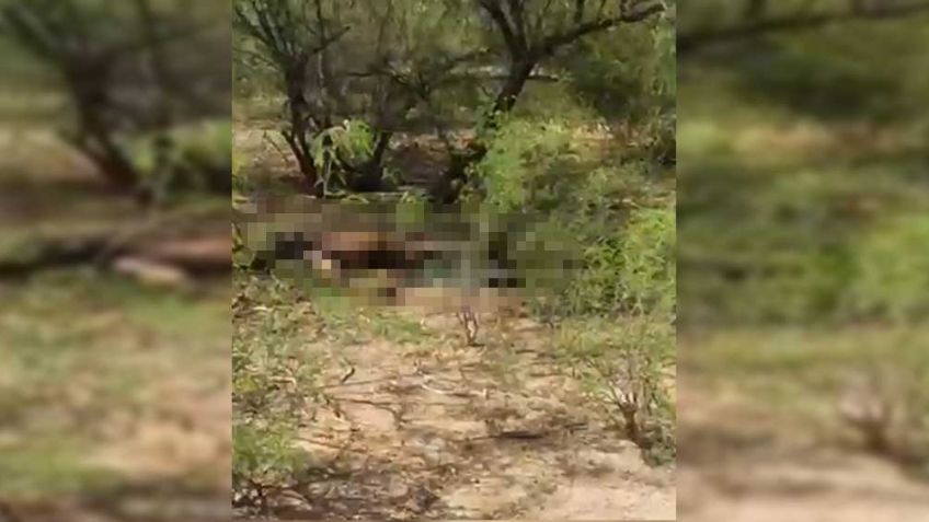 "Los desaparecidos son de todos": Rastreadoras de Obregón encuentran dos cuerpos