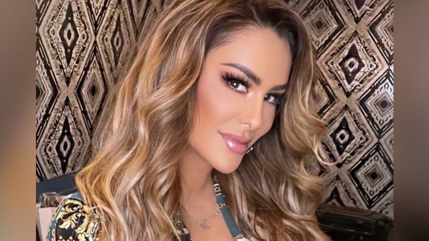 Ninel Conde causa furor en Instagram al lucir sus 'outfits' más seductores: "Cosita bien hecha"