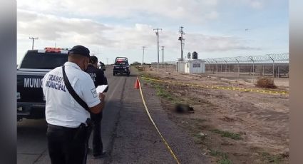 Fatal desenlace: Jornalero es encontrado sin vida a la orilla de la carretera