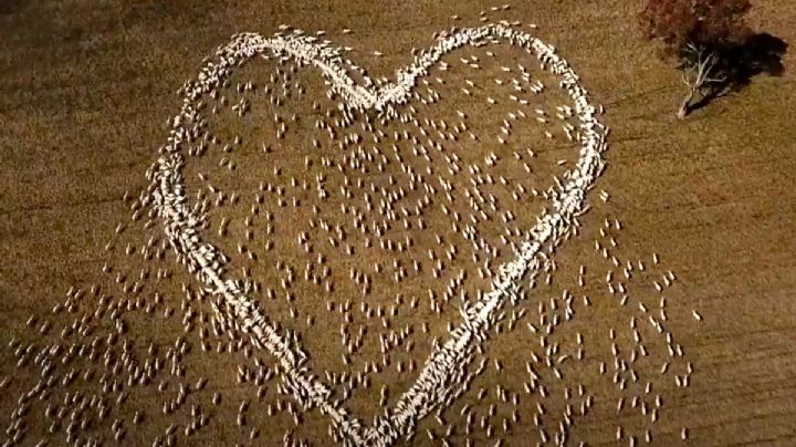 Un hombre le da el último adiós a su tía de una forma original; el VIDEO le dio la vuelta al mundo