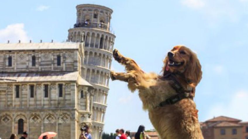 ¡'Mamma mia'! Llama a tu perro de forma original con estos nombres inspirados en Italia