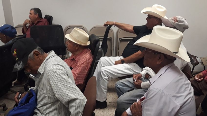 Hermosillo: Abuelos también quieren regresar a los planteles educativos para trabajar