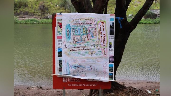 Hermosillo: Colectivo propone un 'macroproyecto' en el humedal de La Sauceda
