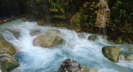 Salió de paseo con su familia y no volvió: Roberto murió ahogado en un río; salvó a 3 niños