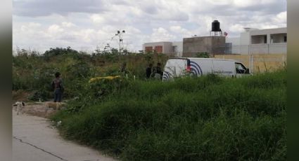 Jalisco: Crimen organizado abandona el cuerpo de un joven en terreno enmontado