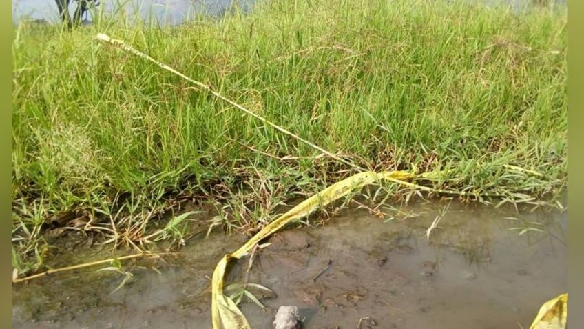 Siniestro hallazgo en Jalisco: Localizan restos humanos al interior de 18 bolsas