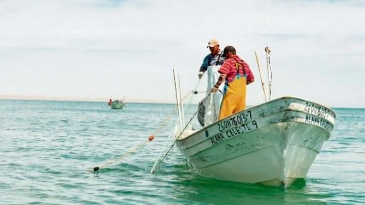 Sanos y salvos: Semar rescata a tres pescadores varados en Guaymas