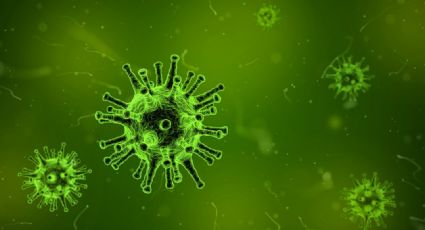¿Es el fin de la pandemia? Experta de Oxford revela información vital contra el Covid-19