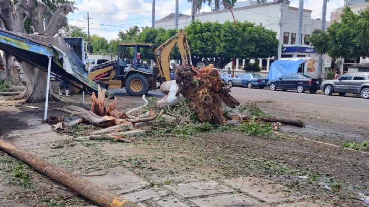 Cajeme: Continúan las afectaciones por la fuerte lluvia en Ciudad Obregón