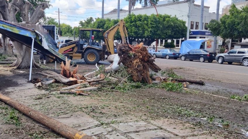 Cajeme: Continúan las afectaciones por la fuerte lluvia en Ciudad Obregón