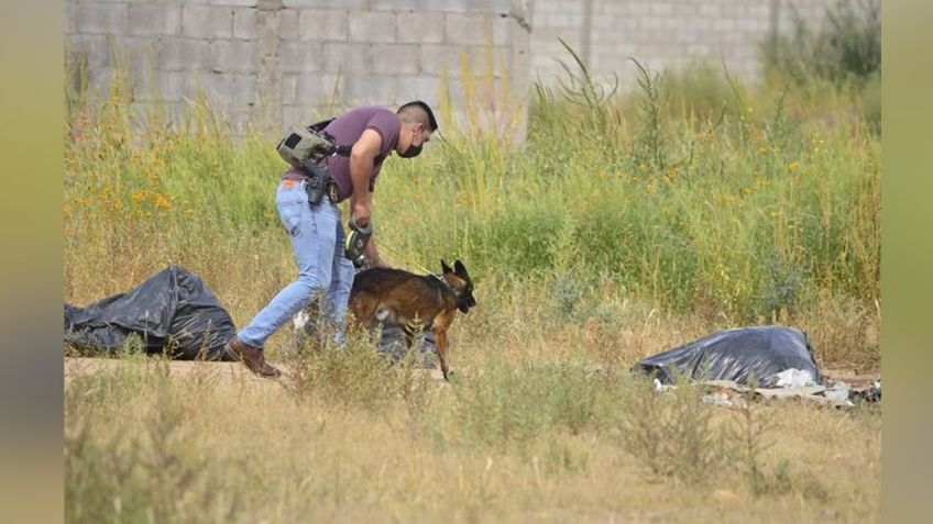 Chihuahua: Al interior de un predio, localizan restos humano; estaba un cráneo