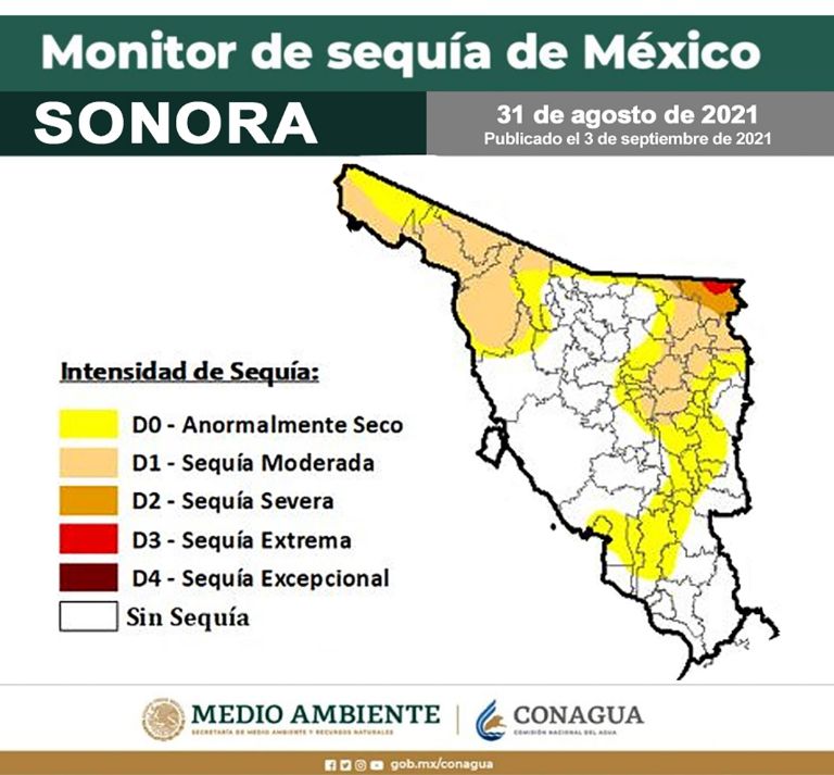 Sonora