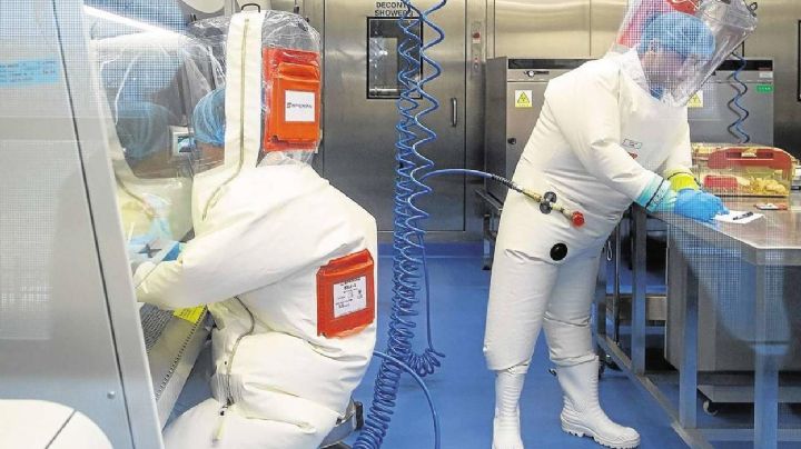 ¡No retroceden! La OMS iniciará nueva investigación sobre el origen del Covid-19