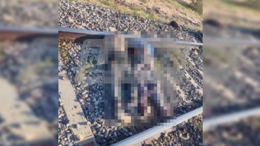 Sonora, sumida en violencia: Descubren 5 cuerpos en Caborca y en Pitiquito