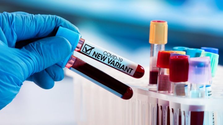 Vaticina la OMS aparición de más variantes; instan a desarrollar vacuna eficaz para todas