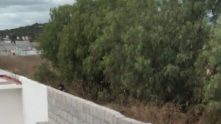 Hallan restos humanos al lado de un fraccionamiento; se desconoce la identidad de la víctima