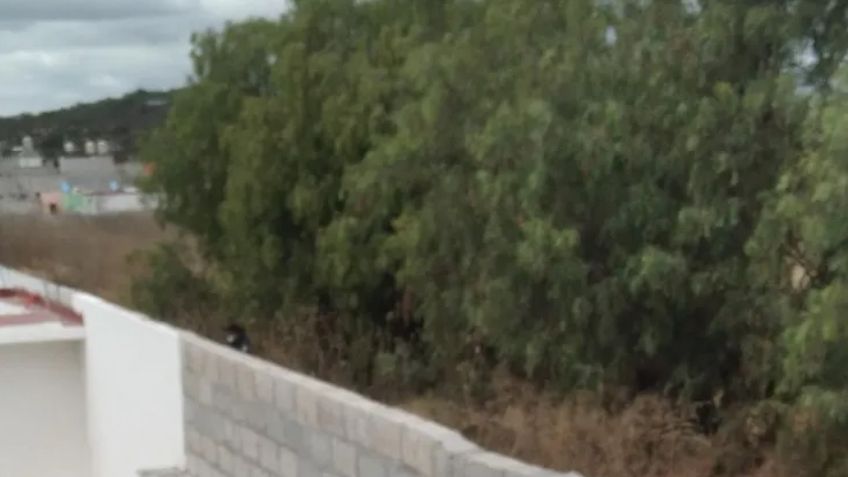 Hallan restos humanos al lado de un fraccionamiento; se desconoce la identidad de la víctima