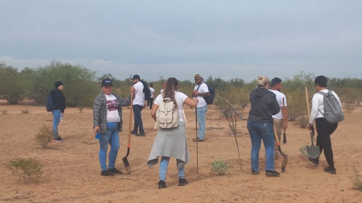Jóvenes forman colectivo de búsqueda de desaparecidos; buscan extenderse por Sonora