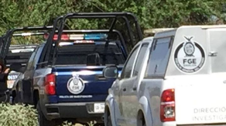 Don Pedro se encuentra con la muerte tras cortar leña; fue sorprendido por decenas de abejas