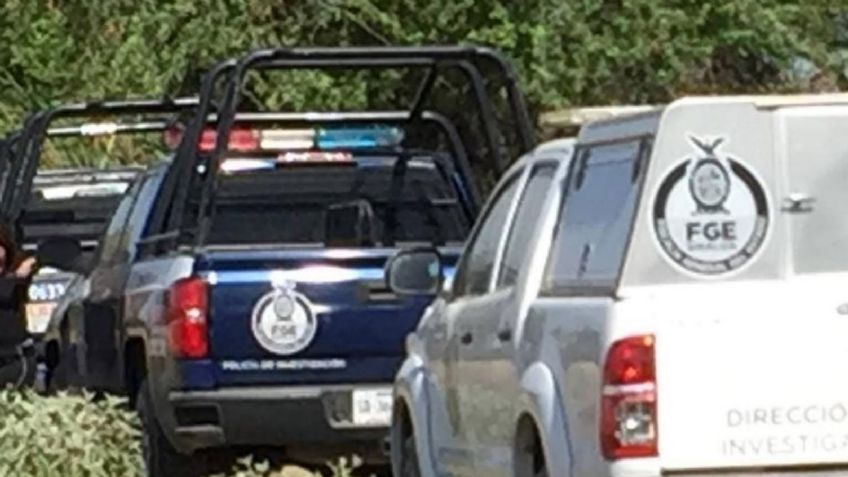 Don Pedro se encuentra con la muerte tras cortar leña; fue sorprendido por decenas de abejas