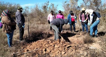 Brigada internacional buscará migrantes desaparecidos por Sonora y Baja California