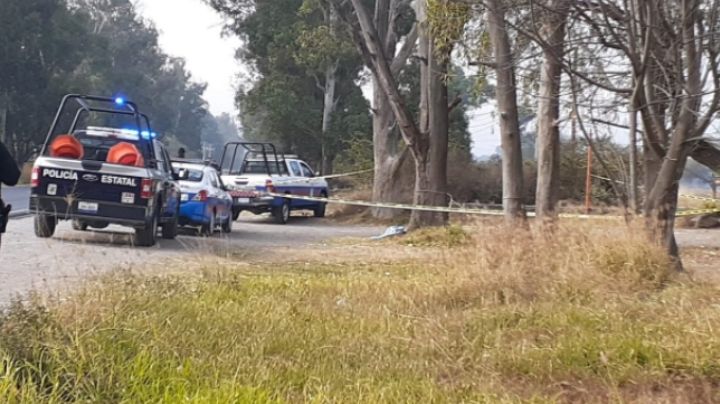 A la orilla de la carretera, localizan un cráneo humano y otros huesos dentro de bolsas