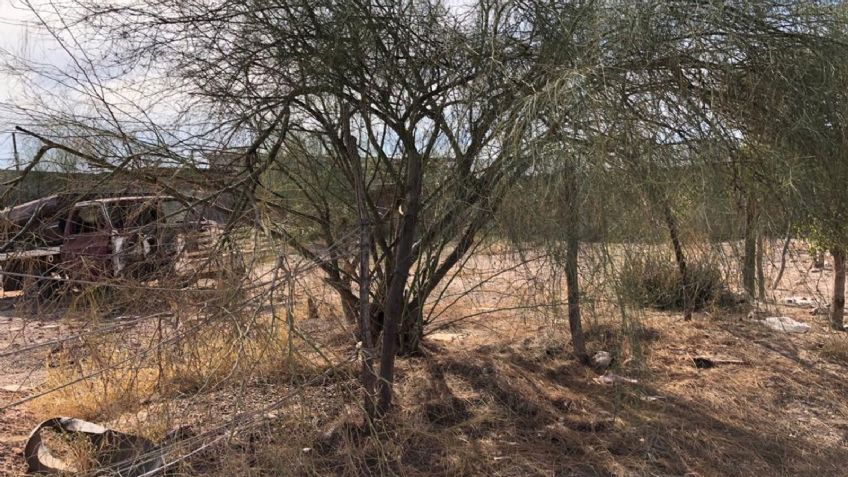 Cajemenses se ven afectados por acumulación de basura en solares baldíos
