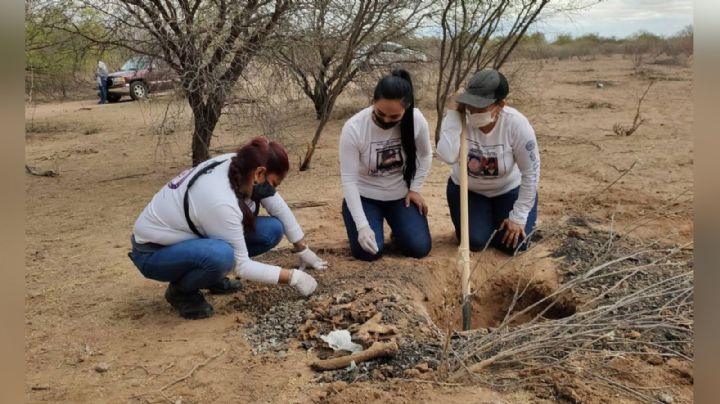 Formarán colectivo de jóvenes para buscar a desaparecidos en Navojoa