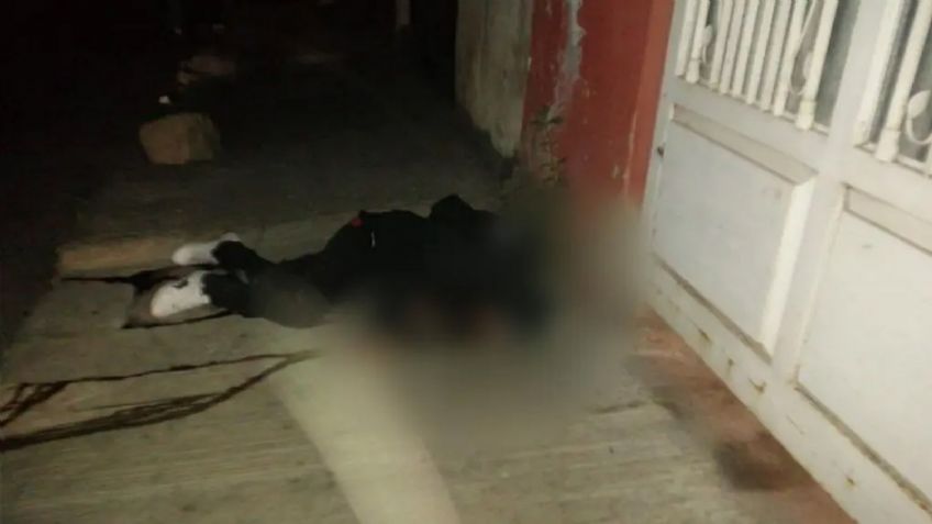 Dos jóvenes son atacados a tiros mientras estaban la banqueta; uno de ellos murió