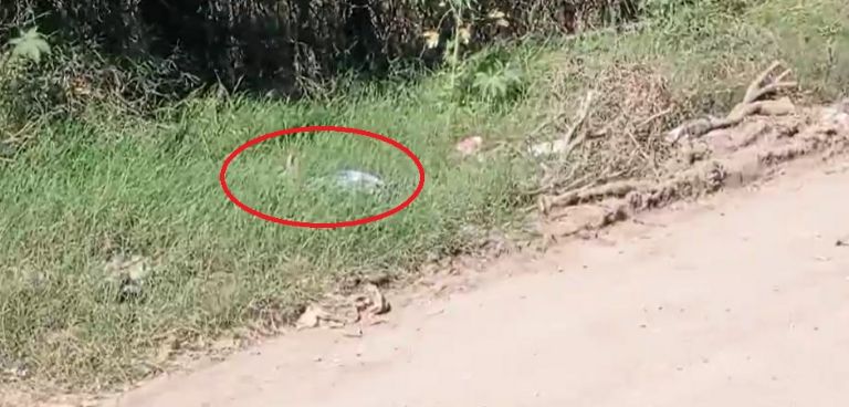 El cuerpo fue hallado por la central de Abastos de Ciudad Obregón