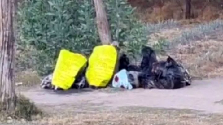 Arrojan bolsas con cuerpos desmembrados a orillas de carretera de Guanajuato