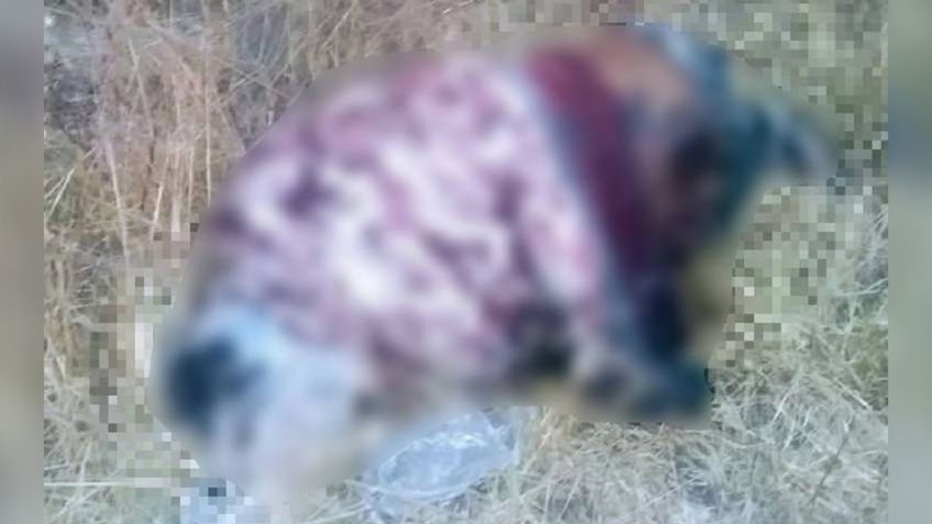 Putrefacto y con el tiro de gracia, masculino es encontrado en un predio baldío