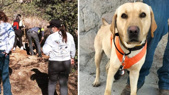 Con apoyo de perro entrenado, encuentran cuatro cuerpos en fosas clandestinas en Nogales