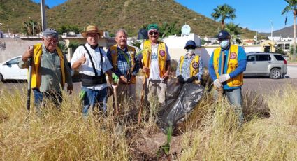 Donan Club Leones mil 400 palmas a planteles educativos y sectores en Guaymas