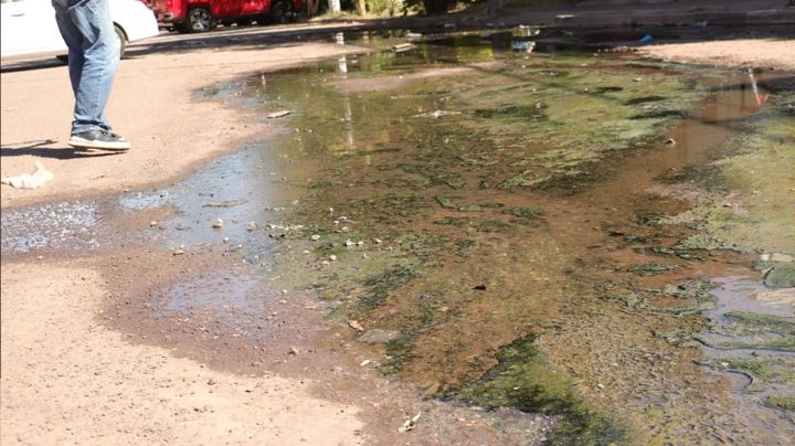 Ciudad Obregón: Sufren en Fovissste 2 por drenaje; limpian y los quieren multar