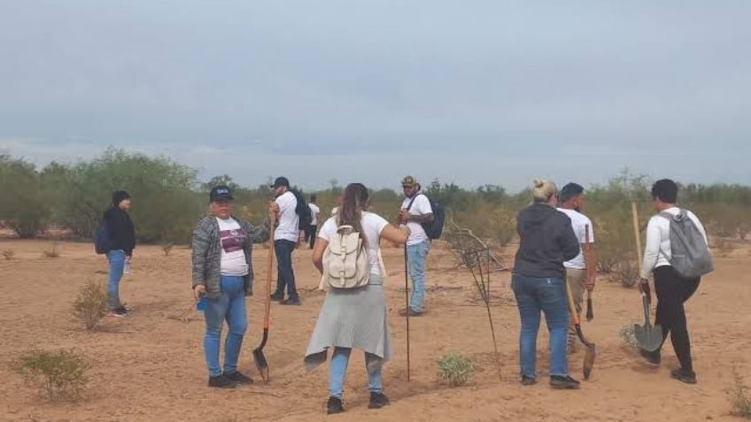 Activismo, un trabajo nada fácil en Sonora; además de ser muy desgastante es muy peligroso