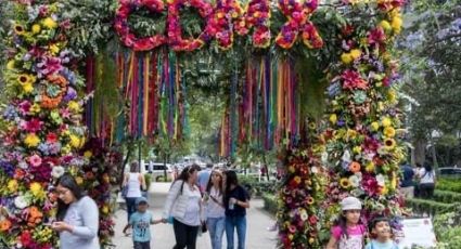 Saca la cámara: Festival de las flores y jardines de la CDMX ya inició y aquí se encuentra