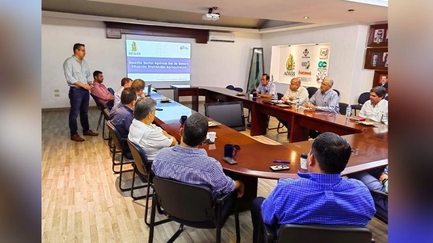 "Dejar de usar agroquímicos bajaría rendimiento del trigo": Productores llaman al diálogo