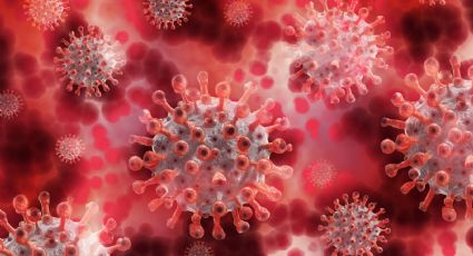 Aún no termina: La CDC investiga una nueva variante de Covid-19 que sería resistente a las vacunas