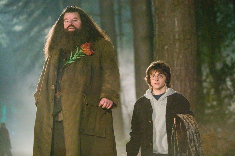 Robbie Coltrane y Daniel Radcliffe en 'Harry Potter y el Cáliz de Fuego'