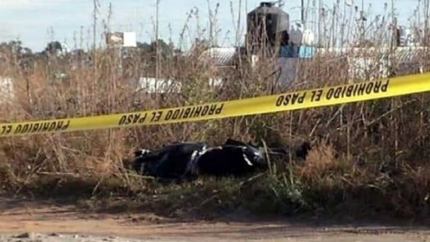 Localizan los cuerpos de dos hombres y una mujer en Jalisco; ella estaba 'embolsada'